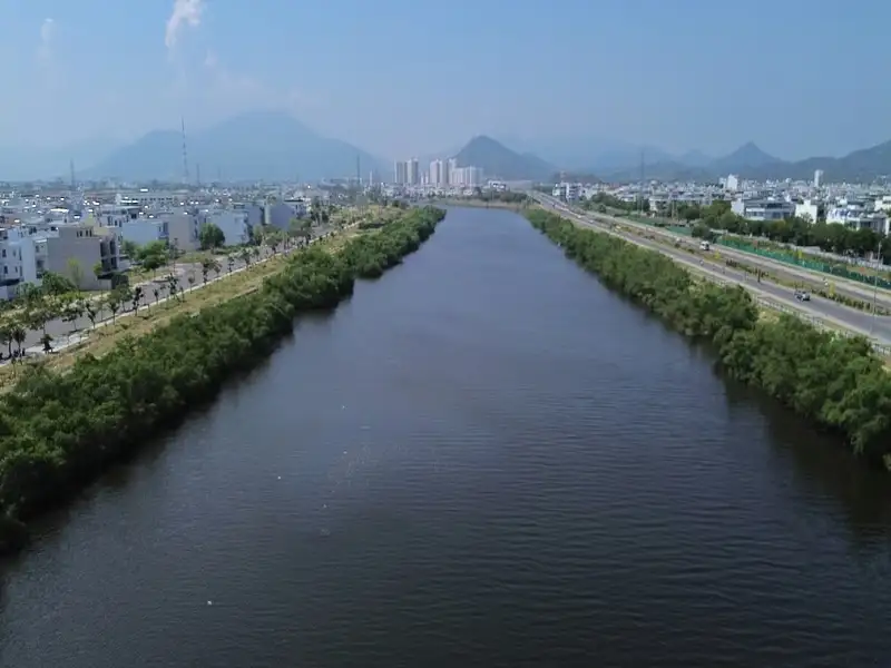 hang cay xanh 2 ben bo song quan truong nha trang Nên chặt hay giữ hàng cây xanh dọc hai bờ sông Quán Trường ở Nha Trang?